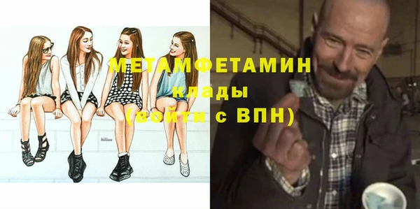 прущие грибы Гусев