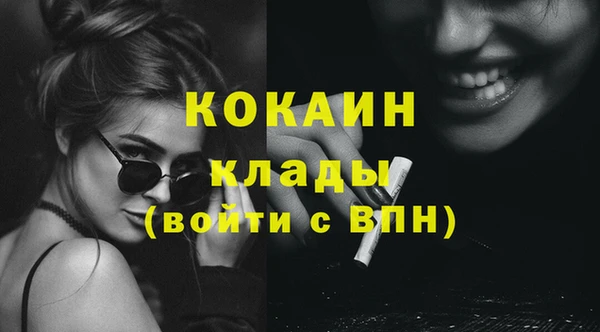 прущие грибы Гусев