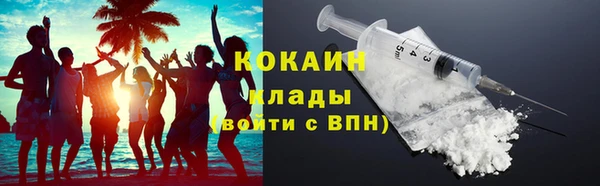 прущие грибы Гусев