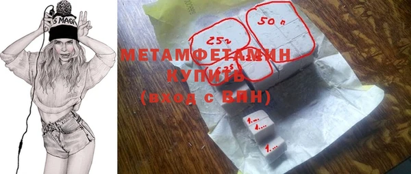 прущие грибы Гусев