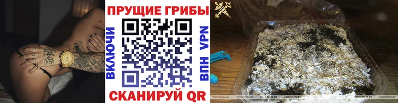 где купить наркоту Долинск Псилоцибиновые грибы Cubensis